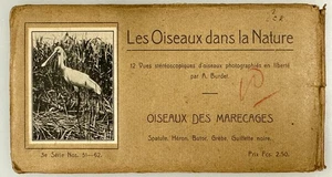 SV028_007 Stereoviews Set of 12 Collection of Our Birds by Adolphe Burdet, - Picture 1 of 3