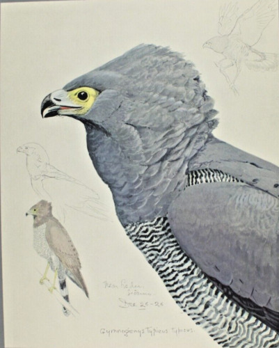 Picture 1 of 8