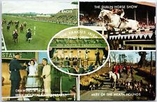 VINTAGE POSTCARD MULTIPLE SCENES DUBLIN IRELAND HORSE EVENTS POSTED 1969