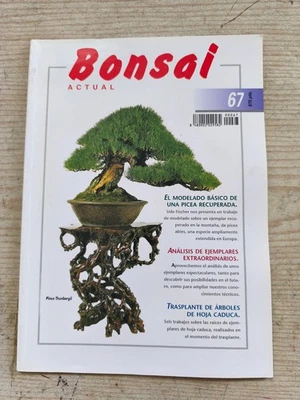 Revista Bonsai Actual - Numero 67 - Imagen 1 de 4