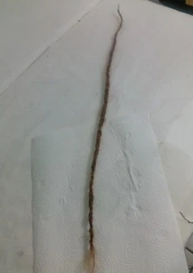 Cerraduras de cabello 100% humano hechas a mano 2 rastas hasta 20" pequeñas textura rubia suave - Imagen 1 de 3