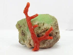 Natural Red Coral Polished Rough Stick For Jewelry Making 46X5MM - Picture 1 of 8
