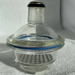 DWK Wheaton Dry-Seal Vacuum Desiccator 3289879 Plate Chemistry Lab Glass 150mm - Picture 1 of 8