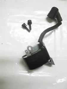 Gruppo modulo accensione motosega Poulan Pro PP4620AVX 545063901, 530039239 - Foto 1 di 2