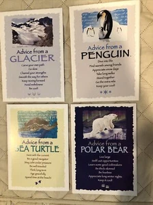 Advice for Life Assorted Note Cards and Envelopes~Turtle, Bear, Glacier, Penguin - Picture 1 of 4