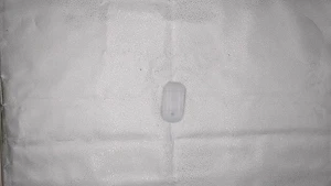 *READ* Apple Magic Mouse - White Multi-touch Surface - Picture 1 of 5