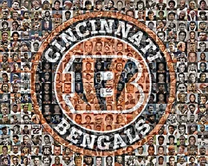 Cincinnati Bengals Photo Mosaic Art 180+ Player Mosaic Print Football Gift Decor - Picture 1 of 11