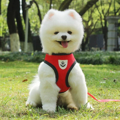 Mesh Padded Soft Puppy Pet Dog Harness Breathable Comfortable Many Colors S M L - Image 1 of 4