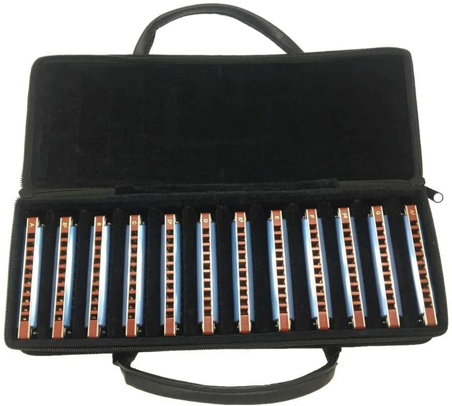 EASTTOP 10hole Harmonica Set T008K-12 Set Mouth Organ in One Case Blue Covers - Image 1 of 4