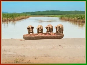 Lot Of *RARE* 4 Clay VINTAGE Pigs with Handmade Handpainted feeding trough - Picture 1 of 11