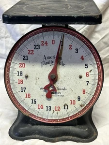Vintage American Family Scale Co 25 pound Kitchen Home Rustic Farmhouse Decor - Picture 1 of 6