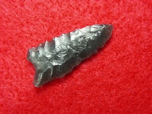 BUCHANAN EARED 1" OREGON Authentic Indian Artifacts - Picture 1 of 9