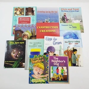 Lot of 12 Fountas & Pinnell LLI Red System Level J Leveled Literacy Readers - Picture 1 of 9