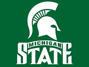 Michigan State Spartans Flag 3 X 5 - Picture 1 of 1
