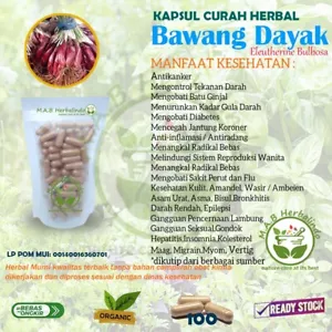 Cápsulas DAYAK CEBOLLA Hierbas Orgánicas Naturales Especias Frescas Puras Higiénicas Premium - Imagen 1 de 9