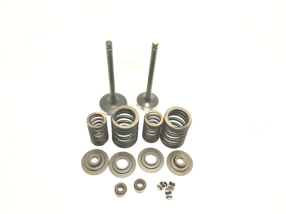 KIT CONJUNTO COMPLETO DE VÁLVULAS MOTOR Para Hisun 550 Strike Forge Setor Vetorial Tático RK - Imagem 1 de 1