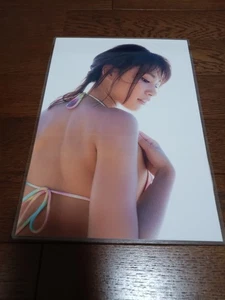 Bikini grueso laminado 150 recortes Ikumi Hisamatsu 6 páginas talla A4 19 - Imagen 1 de 5