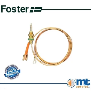 TERMOCOPPIA ORIGINALE FOSTER L.900mm 2 FILI 9606223 - Imagen 1 de 1