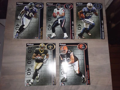 (5) NFL Fathead Tradeables 2010 - Reggie Wayne, Ed Reed, Matt Schaub, ++ Foto 1 de 3