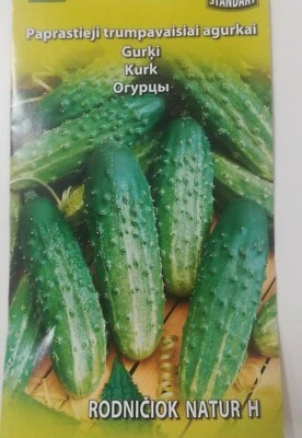 Cucumber seeds *Rodnichok Natur H*Gherkin  Tolerant to mildew & weather stress * - Image 1 of 4