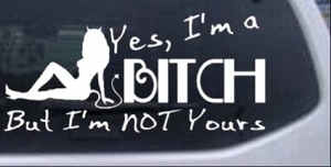 Yes Im A Bitch Car or Truck Window Laptop Decal Sticker White 6X2.8 - Imagen 1 de 1
