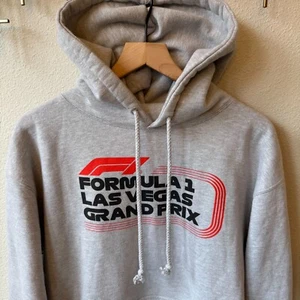 Formula 1 Las Vegas Grand Prix Unisex Hoodie Large Heather Gray Classic Pullover - Picture 1 of 16