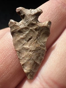 Authentische Pfeilspitze Jakobsmuschel Vogelspitze Ex Bud Goodwin Adams/Hecht Co Illinois Q688 - Bild 1 von 5