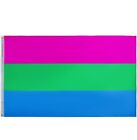 Polysexual Pride Flag 12x18”
