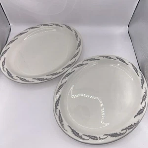 Set of 2 HOMER LAUGHLIN Gray Feathers 10”x8” Platters Edward Don Restaurant Ware - Picture 1 of 9