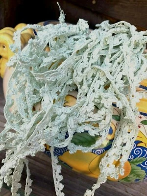 Vintage algodón 3/8" como nuevo cluny vieira encaje ribete 65" piezas hecho en Francia Foto 1 de 4