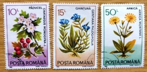 1993 Selection Used/cancelled Romania Stamps 'Medicinal Plants' Item No M-227 - Picture 1 of 1