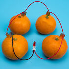 1Set Children Bio Energy Science Kit Potato Fruit Supply Electricity Experime IS
