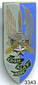 3343 - ALAT - ERGM/ALAT - Picture 1 of 2