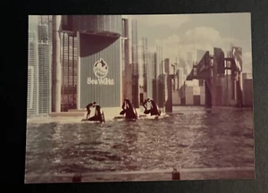 FOTO DE COLECCIÓN ENCONTRADA Gente viendo el espectáculo de orcas Shamu en Sea World - Imagen 1 de 3