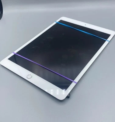 ORIGINALE Pulled Apple touch screen iPad 7Gn 8Gn 9Gn 2019 2020 2021 10.2 bianco - Immagine 1 di 3