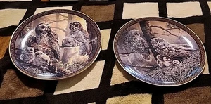 2 Bradford Exchange Family Circles Plates Spotted Owl & Great Gray Owl Family K - Picture 1 of 6