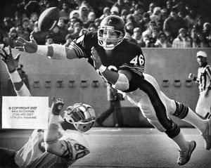 Doug Plank "Dive" 8 x 10 Foto in Aktion Chicago Bears v Detroit (c) Ohio State - Bild 1 von 1