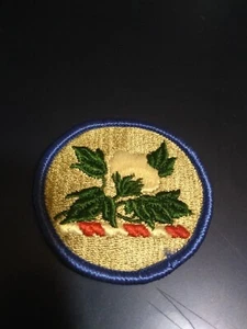 U.S Army Alabama National Guard SSI- Full Color patch (23-1046) - Picture 1 of 2