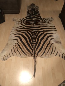 ebay zebra