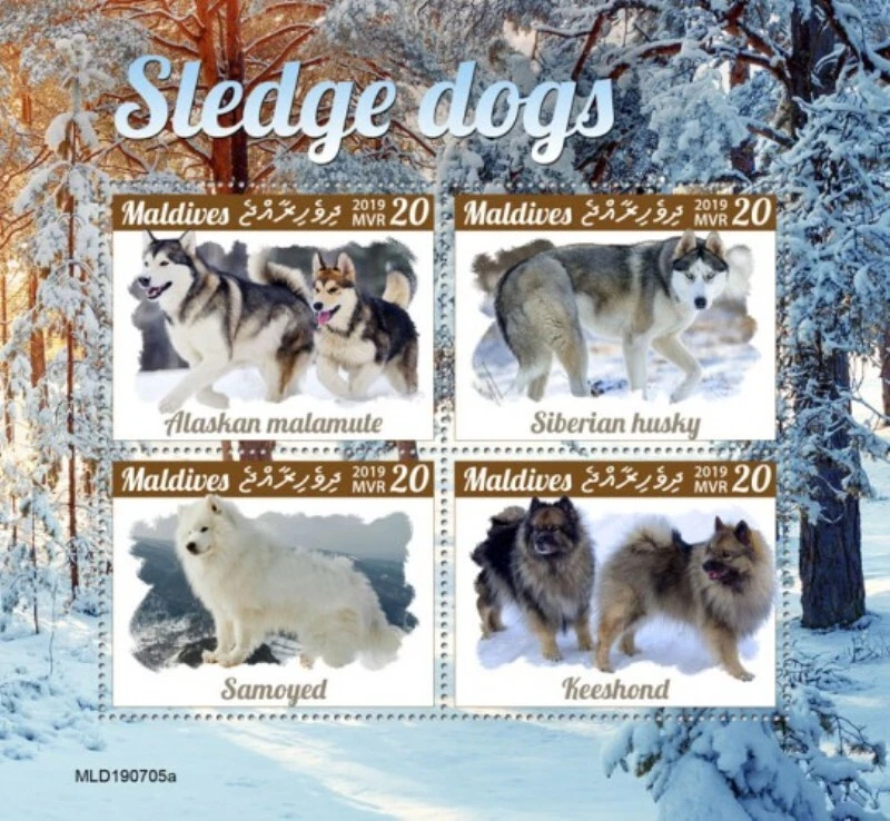 Maldives - 2019 Sledge Dog Breeds - 4 Stamp Sheet - MLD190705a - Image 1 of 1