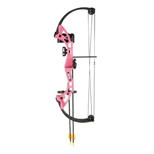 Bear Archery Brave Right Hand Youth Bow Set - 6 Colors Available - Picture 1 of 12