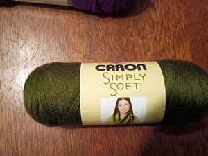 CARON SIMPLY WEICHES GARN, 6 OZ FOREST FLOOR, GRÜN 9758 - Bild 1 von 3