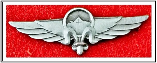 Israel Defense Forces IDF Ground Force Intelligence Corps Classified Unit pin - Image 1 of 1