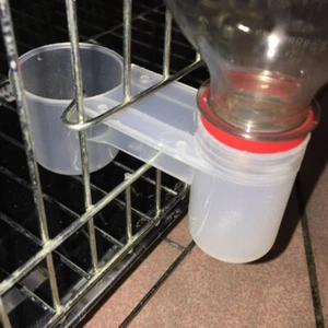 Water Bird Feeders Bottle Home Chicken Poultry Pigeon Pet Drinker Cup Modern - Picture 1 of 24