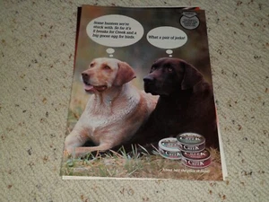 2002 SILVER CREEK AD / ARTIKEL - Bild 1 von 1