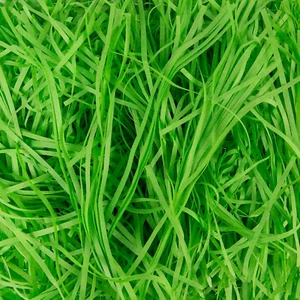 24OZ Easter Grass Crinkle Recyclable Craft Shredded Paper for Basket Filling, Ba - Picture 1 of 12