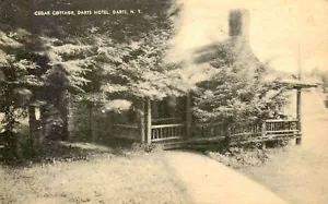 CEDAR COTTAGE, DARTS, NEW YORK HOTEL, VINTAGE POSTCARD (MS 30) - Picture 1 of 2
