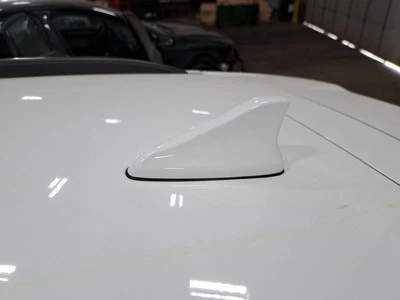 Antenna 2023 Kona Sku#4131769 - Image 1 of 4