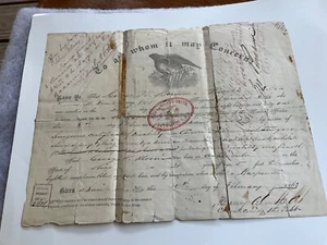 CIVIL WAR ENTLASSUNG GW MORRISON 1. IND CAV BEHINDERT VON PFERD CDV VON IHM & FRAU - Bild 1 von 23