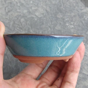Olla bonsai china (muy pequeña) pj689 1 pieza - Imagen 1 de 4